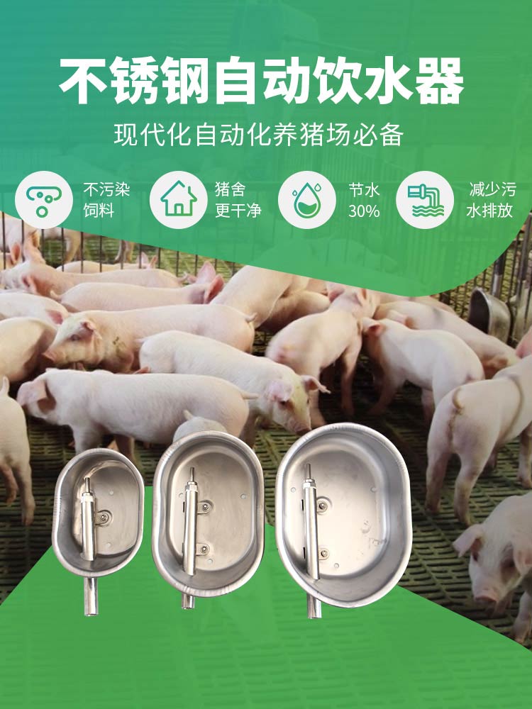 不锈钢自动饮水器，现代化自动化养猪场必备
